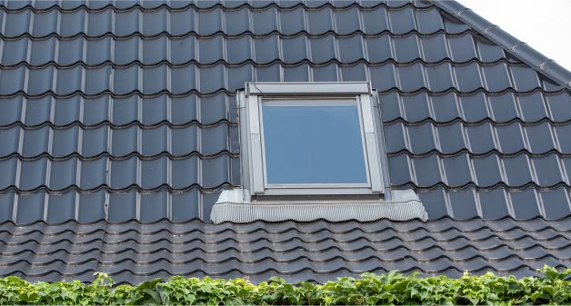 window